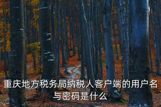重慶市地方稅務(wù)局ui登錄，怎么登陸地方稅務(wù)局