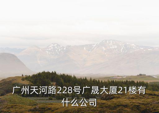 廣州天河路228號(hào)廣晟大廈21樓有什么公司