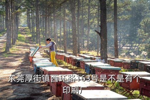 東莞厚街鎮西環路163號是不是有個印刷廠