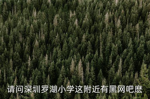 請(qǐng)問深圳羅湖小學(xué)這附近有黑網(wǎng)吧麼