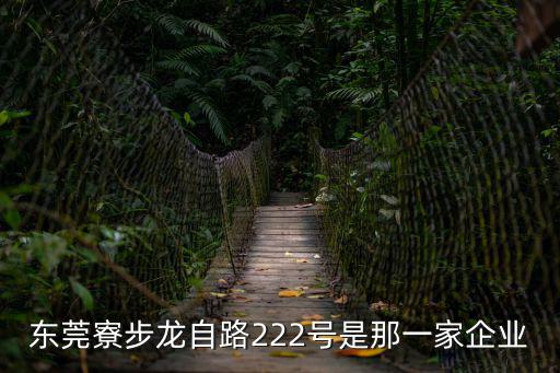 東莞寮步龍自路222號是那一家企業