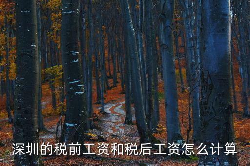 深圳的稅前工資和稅后工資怎么計算