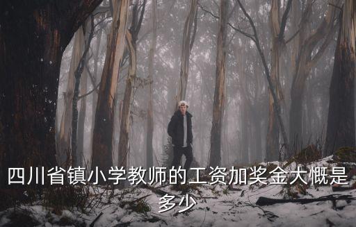 四川省鎮小學教師的工資加獎金大慨是多少