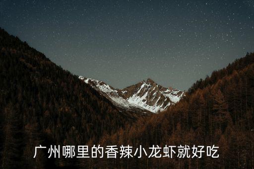 廣州梅花園小龍蝦，廣州哪里吃小龍蝦