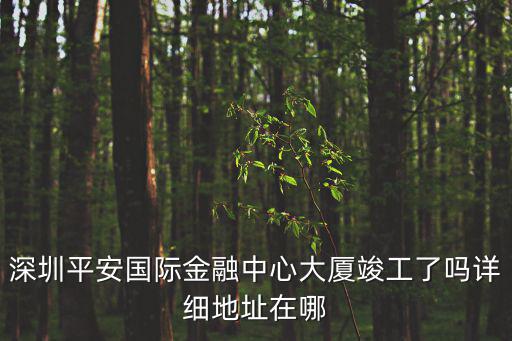 深圳平安國際金融中心大廈竣工了嗎詳細(xì)地址在哪