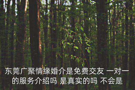 東莞廣聚情緣婚介是免費交友 一對一的服務(wù)介紹嗎 是真實的嗎 不會是