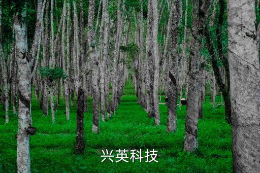 興英科技