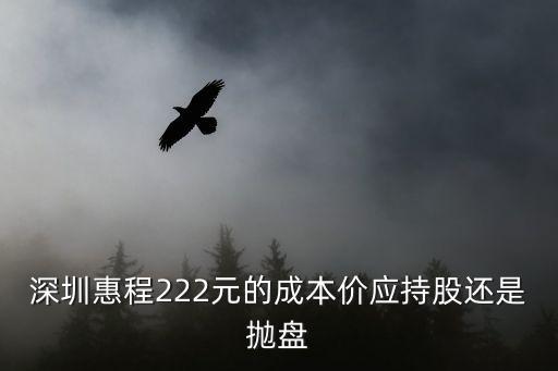 深圳惠程股票，002168深圳惠程為什么股權(quán)出讓會(huì)增加業(yè)績(jī)而且還連續(xù)減持對(duì)