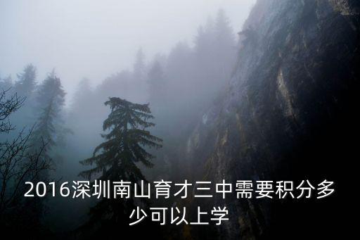 2016深圳南山育才三中需要積分多少可以上學