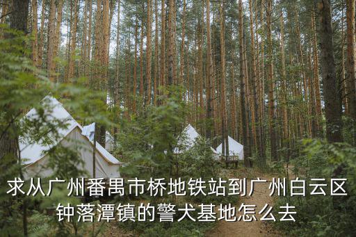 求從廣州番禺市橋地鐵站到廣州白云區(qū)鐘落潭鎮(zhèn)的警犬基地怎么去