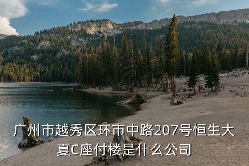 廣州市越秀區環市中路207號恒生大夏C座付樓是什么公司