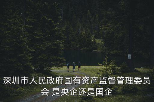 深圳市人民政府國有資產監督管理委員會 是央企還是國企