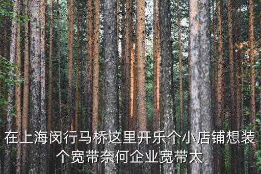 在上海閔行馬橋這里開樂個小店鋪想裝個寬帶奈何企業寬帶太