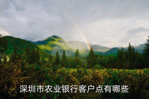 農(nóng)業(yè)銀行深圳分行，深圳中國(guó)農(nóng)業(yè)銀行