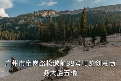 廣州市寶崗路松漱前38號順龍創(chuàng)意商務大廈五樓
