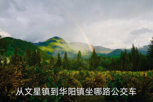 從文星鎮(zhèn)到華陽鎮(zhèn)坐哪路公交車