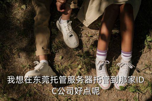 我想在東莞托管服務(wù)器托管到那家IDC公司好點呢