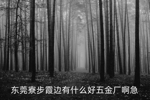 東莞寮步霞邊有什么好五金廠啊急