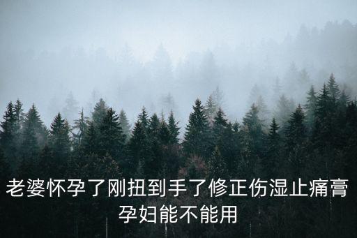 深圳 廖香，老婆懷孕了剛扭到手了修正傷濕止痛膏孕婦能不能用