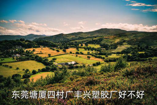 東莞塘廈四村廣豐興塑膠廠好不好