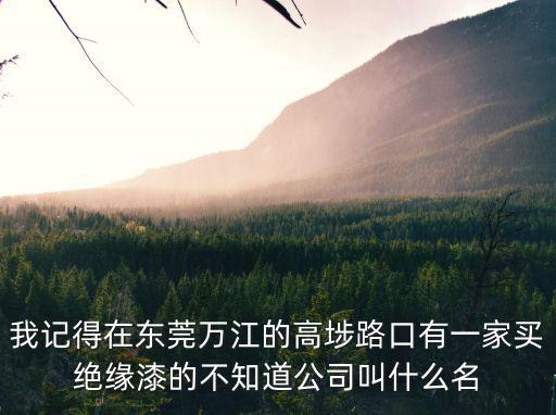 我記得在東莞萬(wàn)江的高埗路口有一家買(mǎi)絕緣漆的不知道公司叫什么名