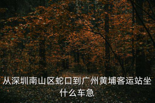 從深圳南山區蛇口到廣州黃埔客運站坐什么車急