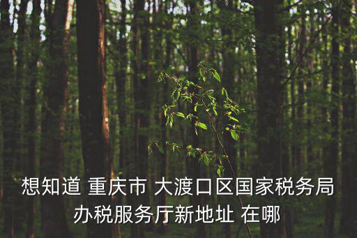 重慶市國(guó)稅大渡口區(qū)區(qū)局，大渡口國(guó)稅局新搬地址在哪里