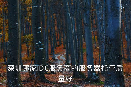 深圳藝柏森idc，深圳哪個(gè)IDC數(shù)據(jù)中間好一點(diǎn)