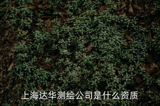 上海市的測繪公司有，上海繪制地圖的公司有哪些