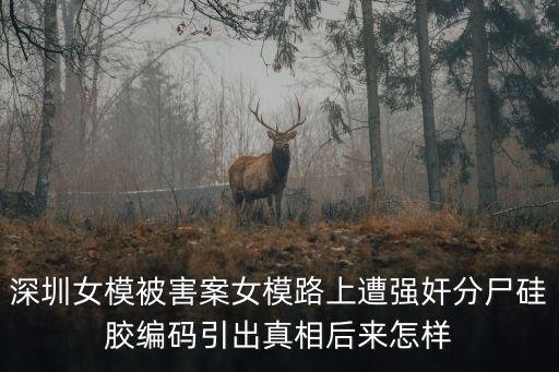 深圳女模被害案女模路上遭強(qiáng)奸分尸硅膠編碼引出真相后來(lái)怎樣