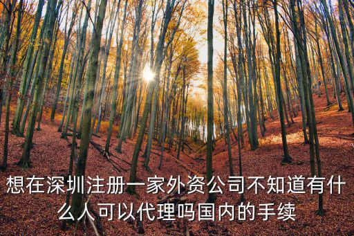 深圳工商代理數(shù)量，深圳市一共有多少家聯(lián)通代理商分別是