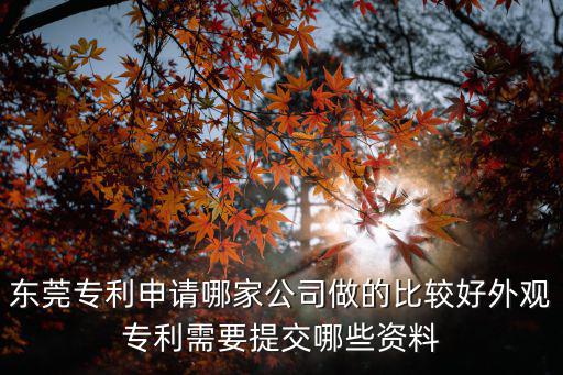 東莞專利申請哪家公司做的比較好外觀專利需要提交哪些資料
