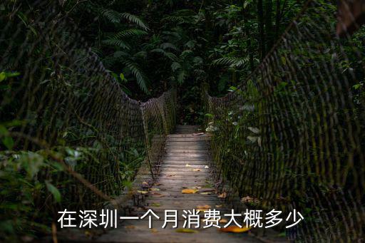深圳一個月的花銷，現在在深圳開公交車一個月有多少錢