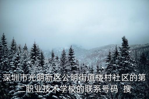 深圳市第二職業(yè)技術(shù)學(xué)校，深圳第二職業(yè)學(xué)校分部有哪些哪個(gè)比較好