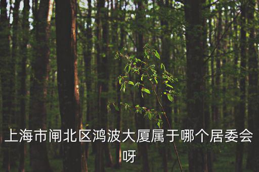 上海市閘北區(qū)鴻波大廈屬于哪個居委會呀