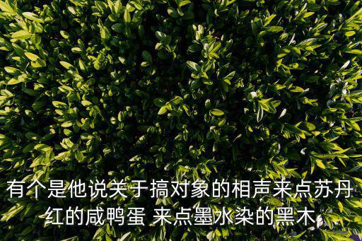 有個是他說關于搞對象的相聲來點蘇丹紅的咸鴨蛋 來點墨水染的黑木