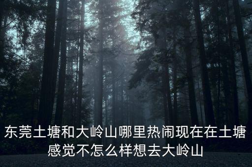 東莞土塘和大嶺山哪里熱鬧現在在土塘感覺不怎么樣想去大嶺山