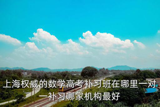 上海權(quán)威的數(shù)學(xué)高考補(bǔ)習(xí)班在哪里一對(duì)一補(bǔ)習(xí)哪家機(jī)構(gòu)最好