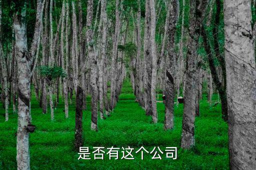 是否有這個公司