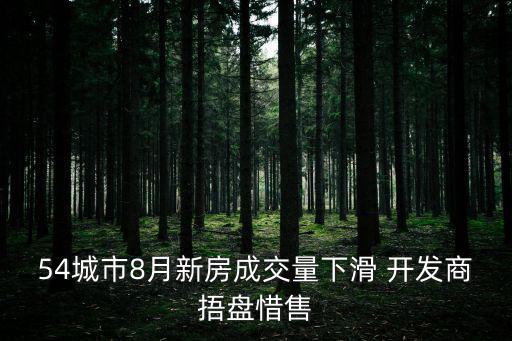 54城市8月新房成交量下滑 開發(fā)商捂盤惜售