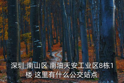 深圳 南山區 南油天安工業區8棟1樓 這里有什么公交站點
