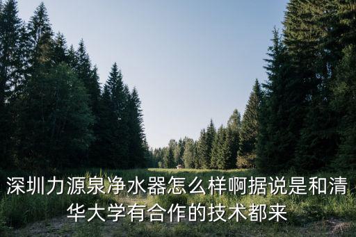 深圳力度科技，深圳蟻穴網絡科技有限公司品牌力度牛嗎