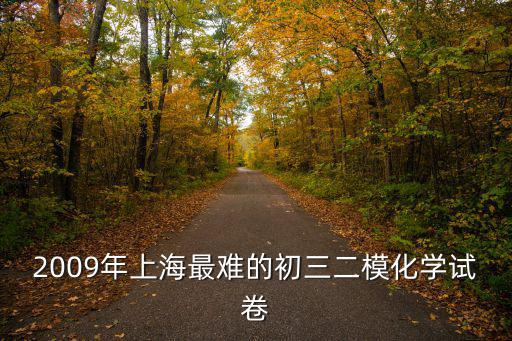 2009年上海最難的初三二模化學(xué)試卷