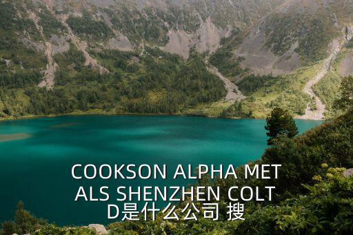 COOKSON ALPHA METALS SHENZHEN COLTD是什么公司 搜