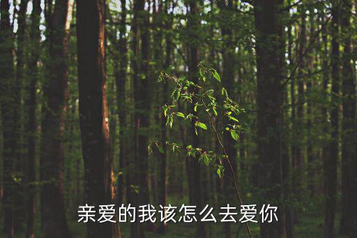 親愛的我該怎么去愛你