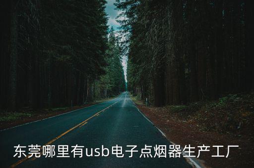 東莞哪里有usb電子點煙器生產工廠