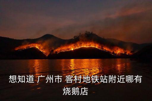 想知道 廣州市 客村地鐵站附近哪有燒鵝店