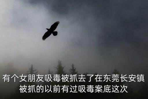 有個女朋友吸毒被抓去了在東莞長安鎮被抓的以前有過吸毒案底這次