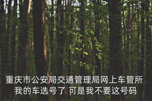 重慶市公安局交通管理局網(wǎng)上車(chē)管所 我的車(chē)選號(hào)了 可是我不要這號(hào)碼
