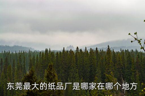 東莞最大的紙品廠是哪家在哪個地方